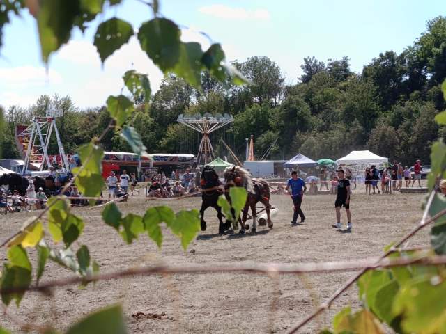 IMG_20260808_141248